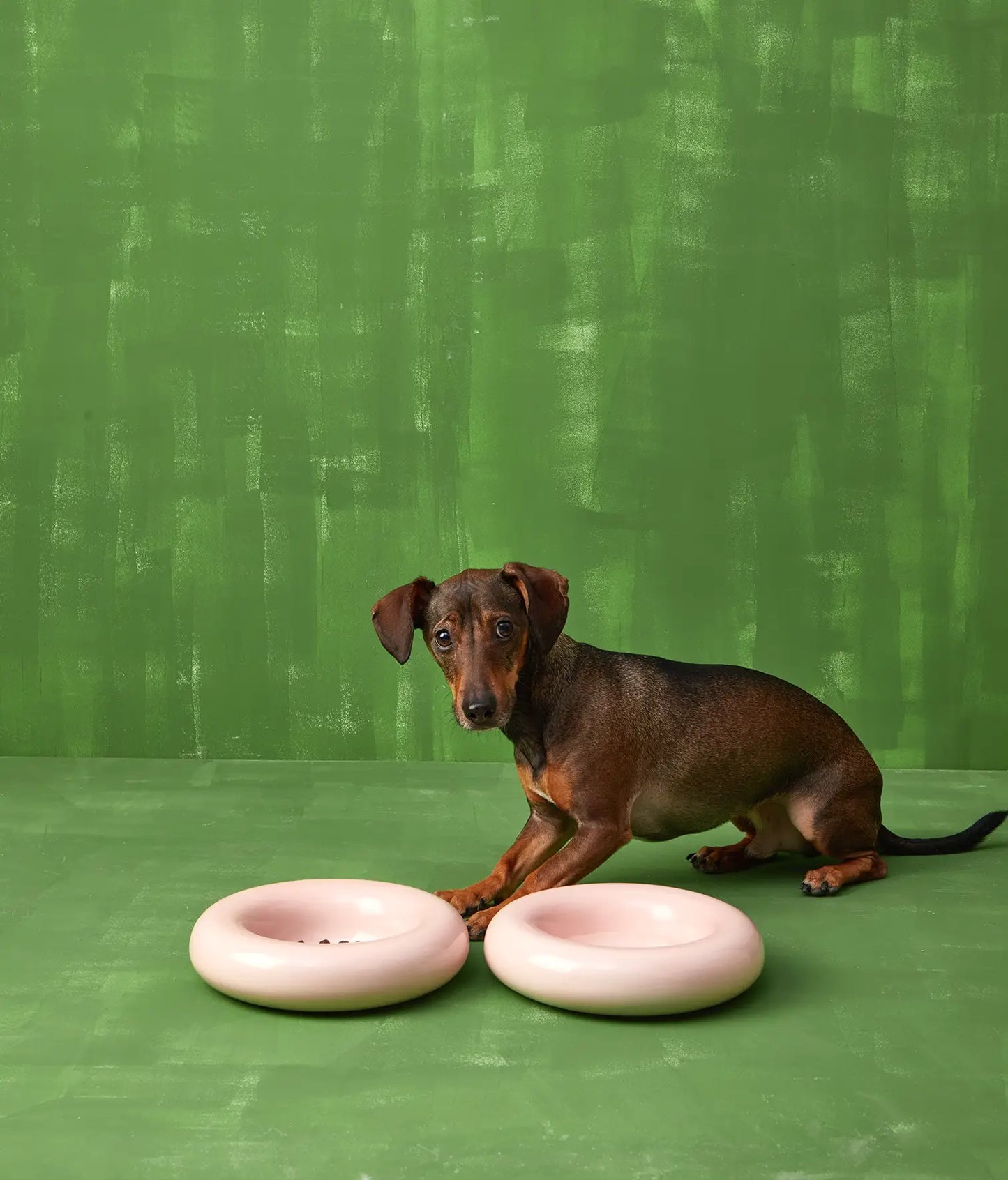 HotDog Pets Rosa Keramiknapf für Hunde