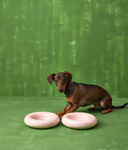 HotDog Pets Rosa Keramiknapf für Hunde