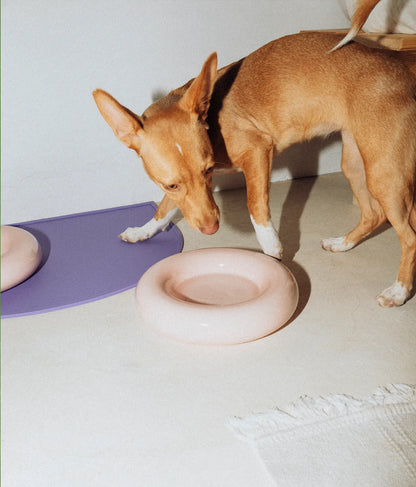 HotDog Pets Rosa Keramiknapf für Hunde