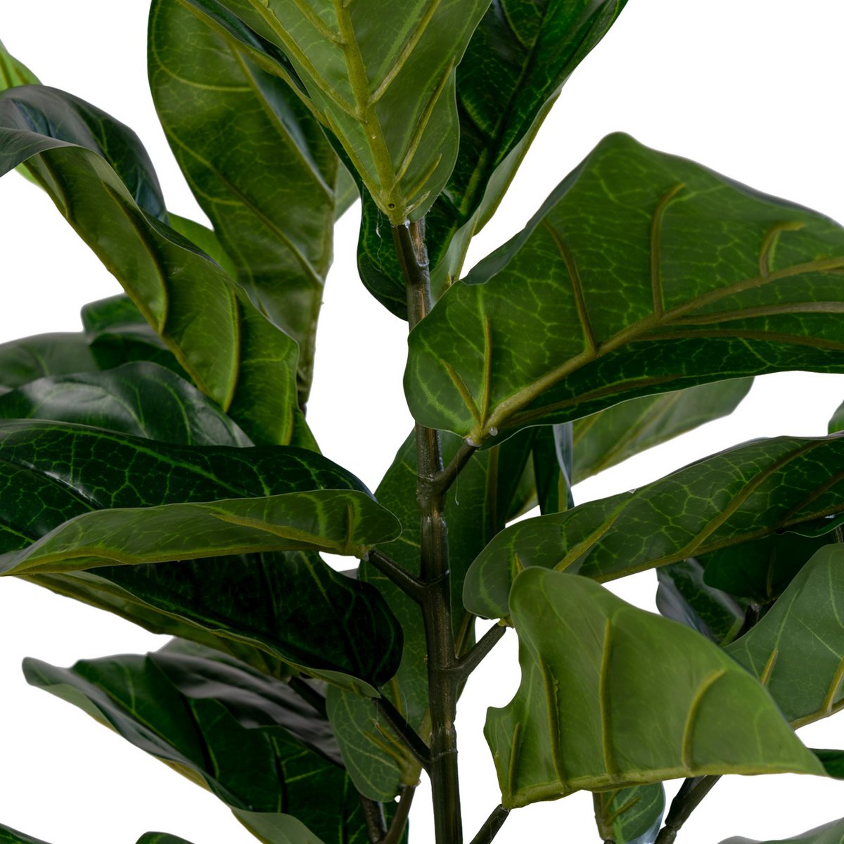 Geigenblattbaum – PE-Kunststoff 36 x 46 x 100 cm