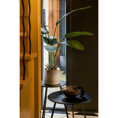 Blumentopf in Olof Crème