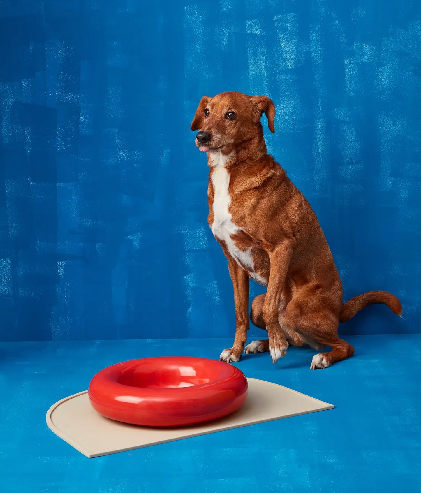 HotDog Pets Rosa Keramiknapf für Hunde rot