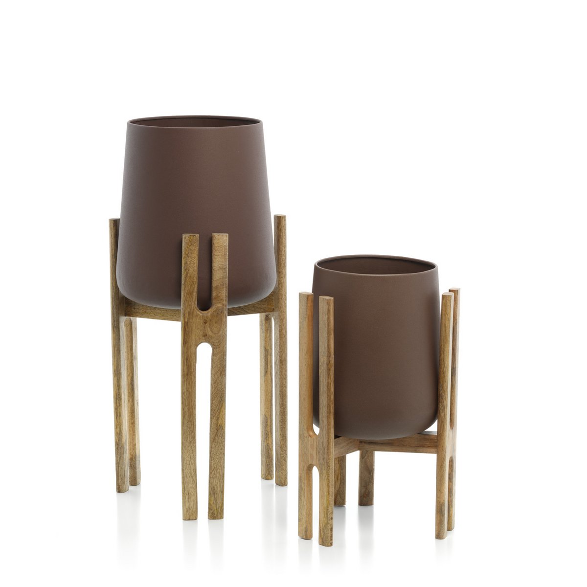 Der gegabelte Wurzelpflanzer – Naturbraun – L