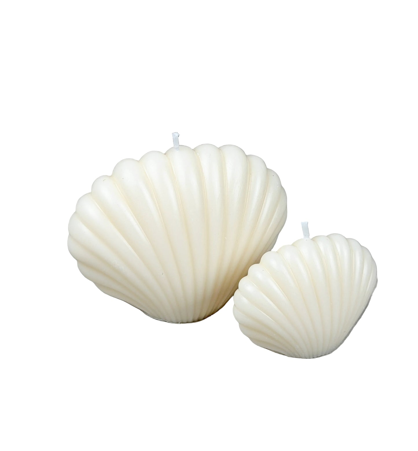 Shell Candles | 2er Set
