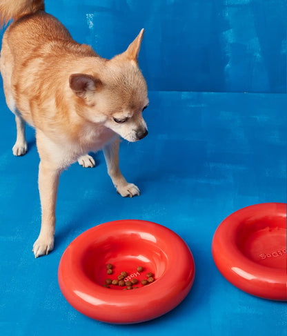 HotDog Pets Rosa Keramiknapf für Hunde rot