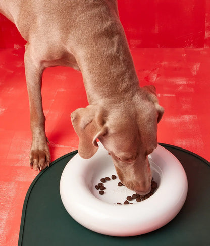 HotDog Pets Rosa Keramiknapf für Hunde