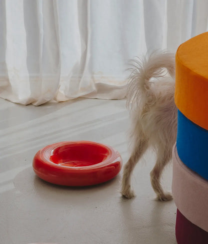 HotDog Pets Rosa Keramiknapf für Hunde rot