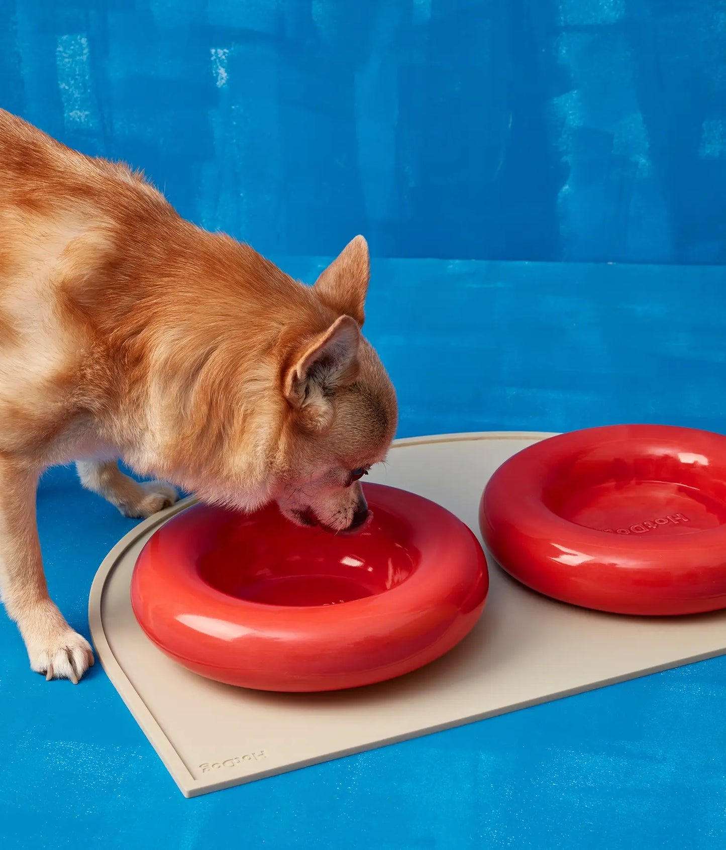 HotDog Pets Rosa Keramiknapf für Hunde