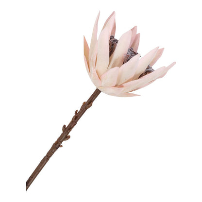 King Protea Bouquet - Bordeaux-Mix