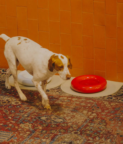 HotDog Pets Rosa Keramiknapf für Hunde rot