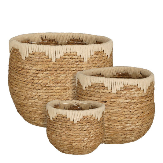 Pflanzenmand-Set Jorck Beige