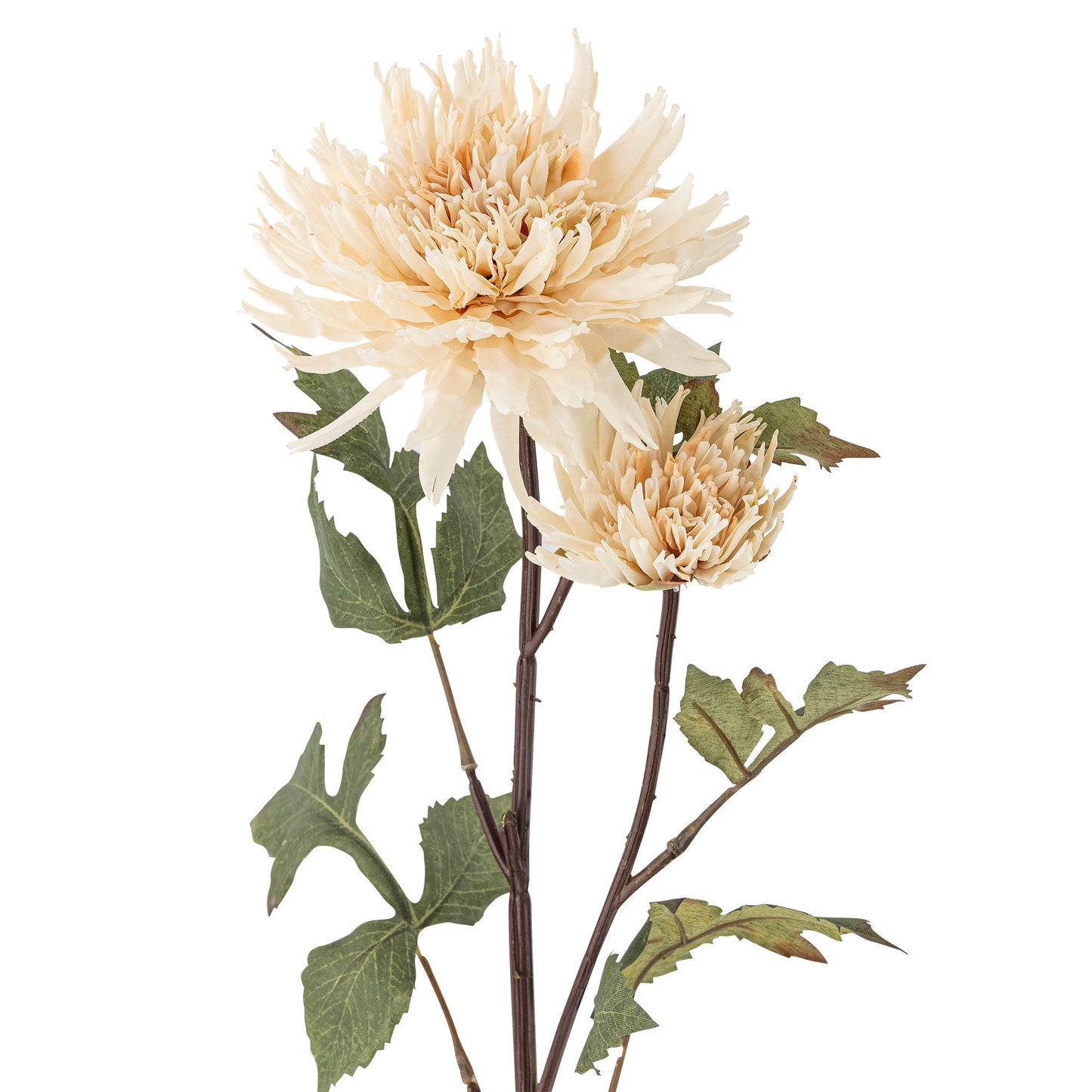Bloomingville Chrysantemum Stiel, Natur, Künstliche Blumen