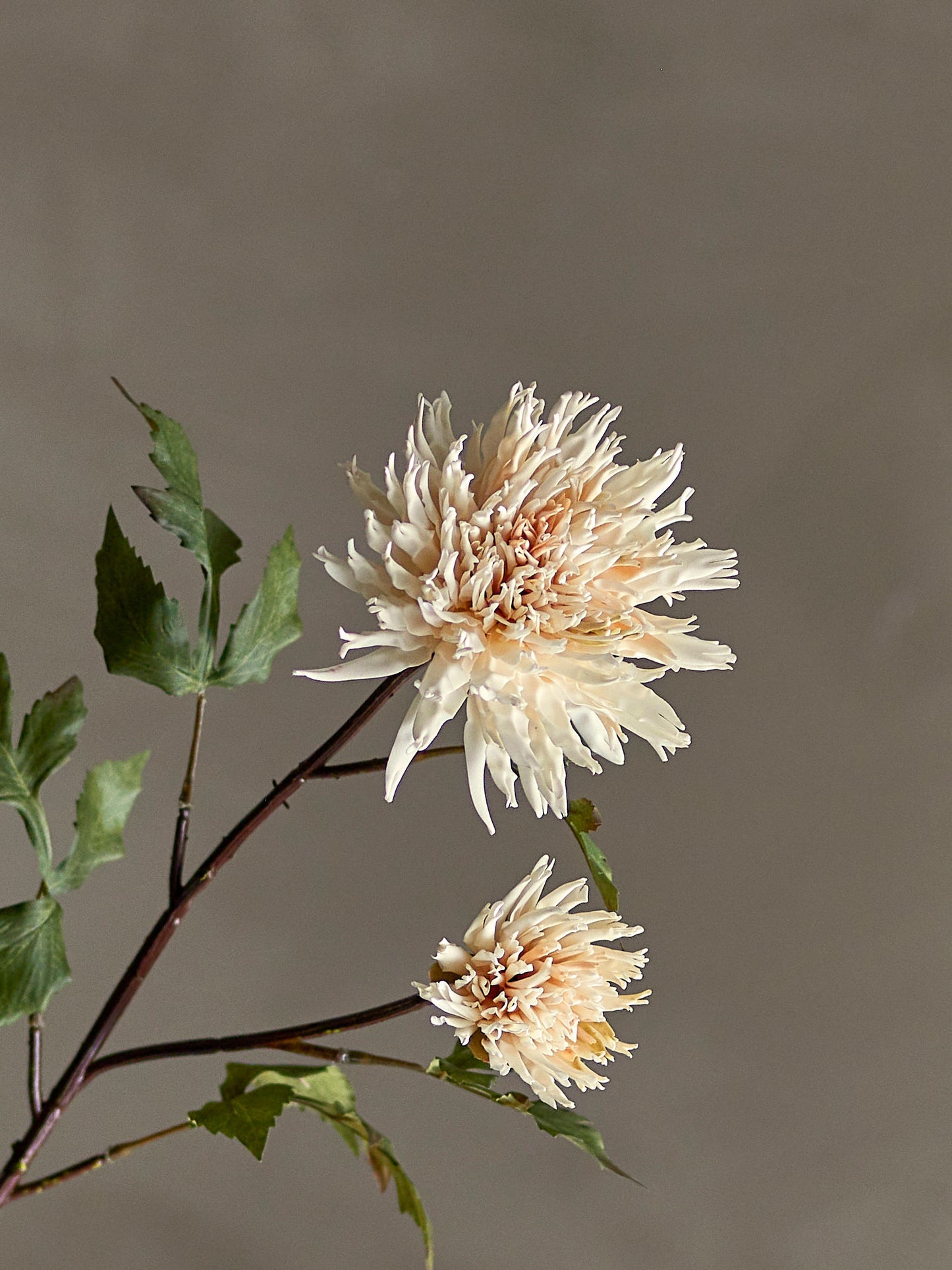 Bloomingville Chrysantemum Stiel, Natur, Künstliche Blumen