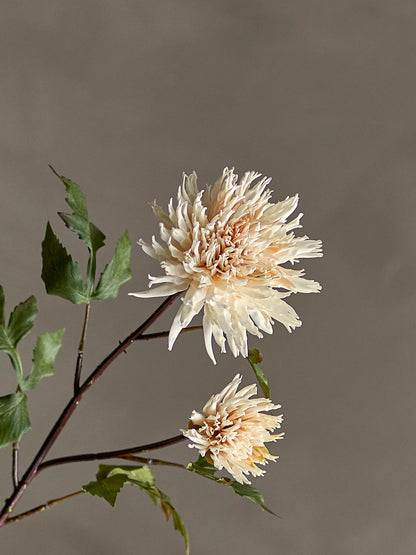 Bloomingville Chrysantemum Stiel, Natur, Künstliche Blumen