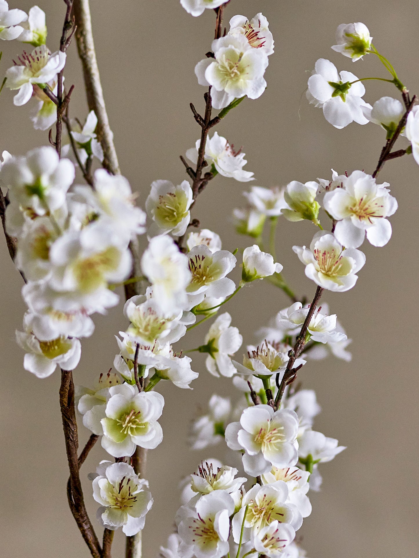 Bloomingville Apple Zweig, Weiß, Künstliche Blumen