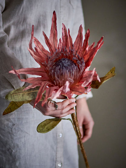 Bloomingville Protea Stiel, Rose, Künstliche Blumen