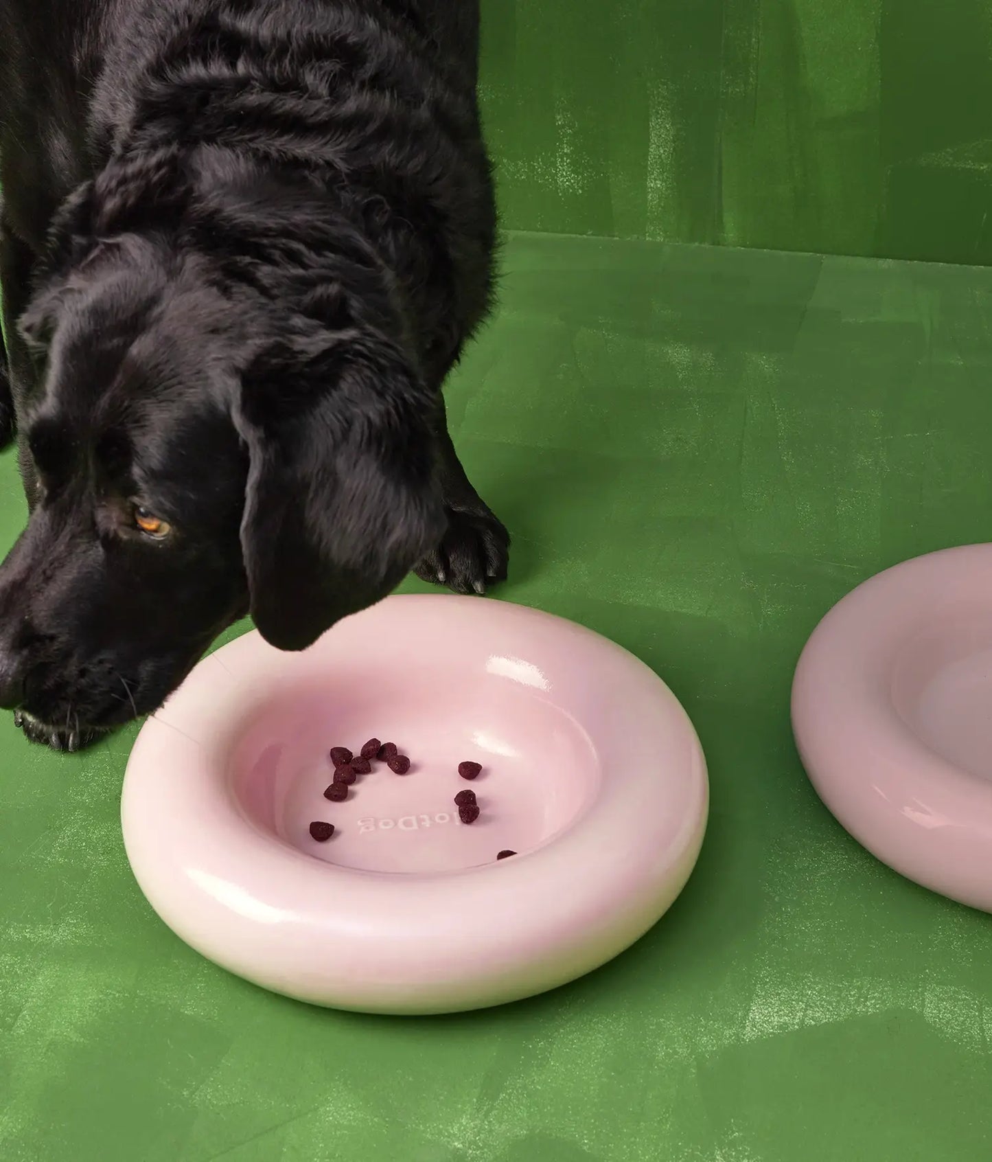HotDog Pets Rosa Keramiknapf für Hunde