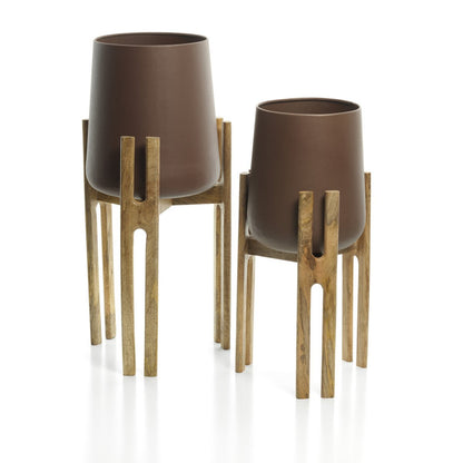 Der gegabelte Wurzelpflanzer – Naturbraun – L